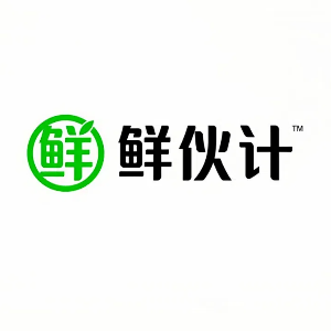 飞鱼品牌设计